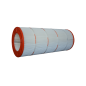 Cartouche de filtration - Compatible Predator 100 / Pentair Clean & Clear 100
