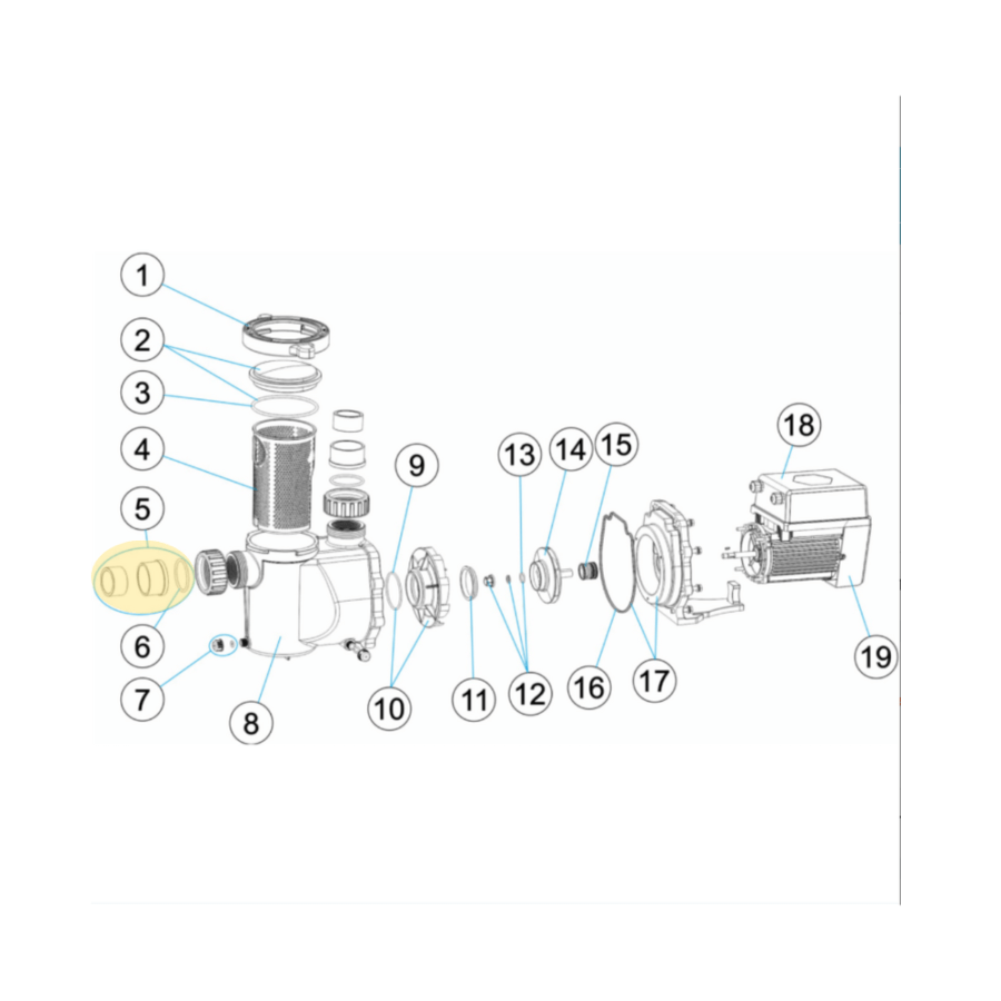 Ensemble raccord union pour pompe evergreen vsp