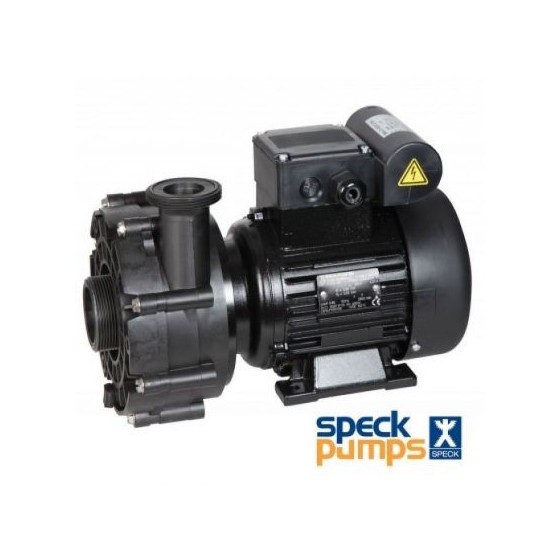 Pompe BADU 40/53G SPECK pour mur filtrant GS14